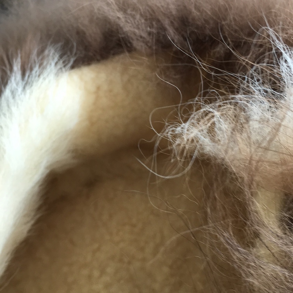 Fur hat - Picture 5 of 5